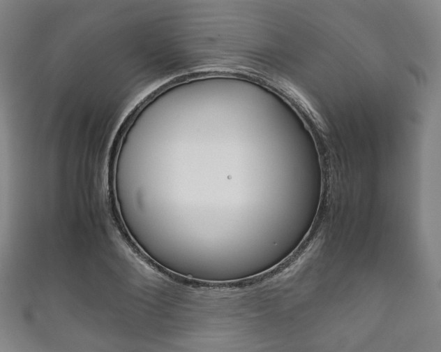 X0000111860884200907231128