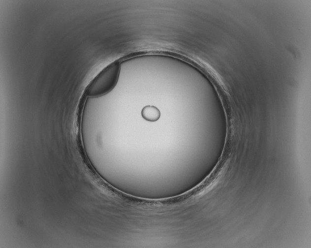 X0000111860885200907231128