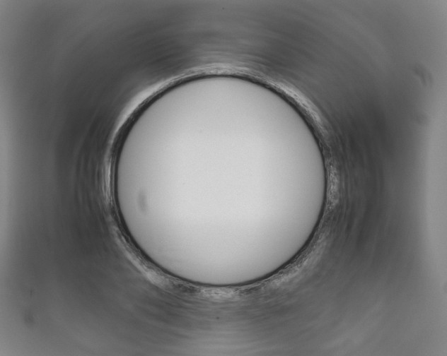X0000111860886200907231128