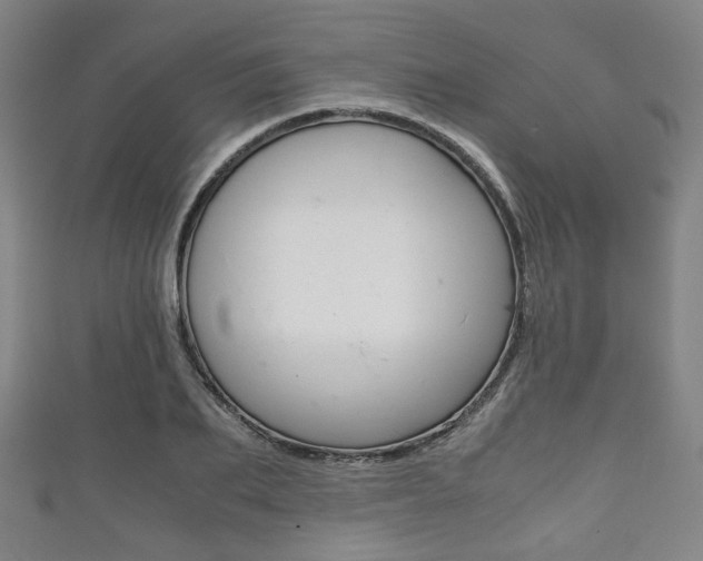 X0000111860887200907231128