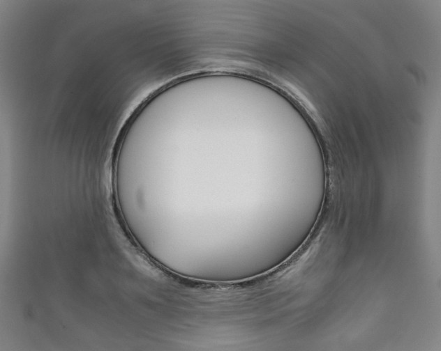 X0000111860891200907231128