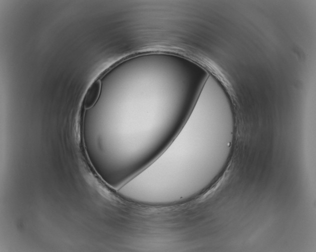 X0000111860892200907231128