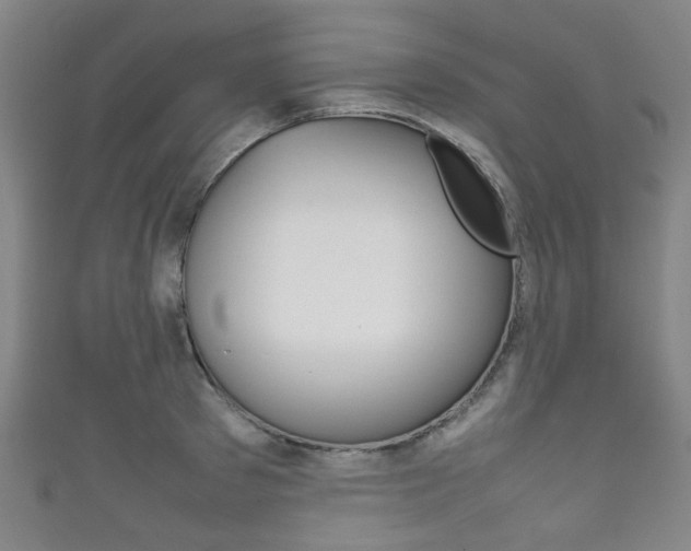 X0000111860897200907231128