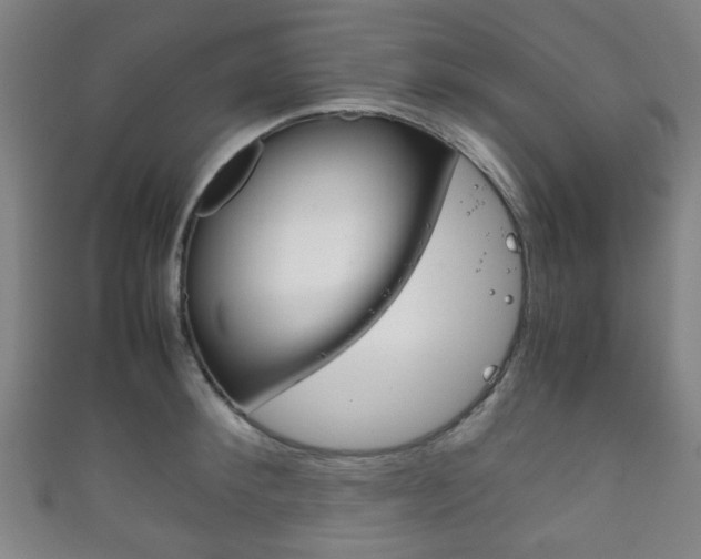 X0000111860900200907231128