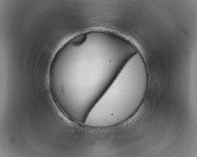 X0000111860902200907231128