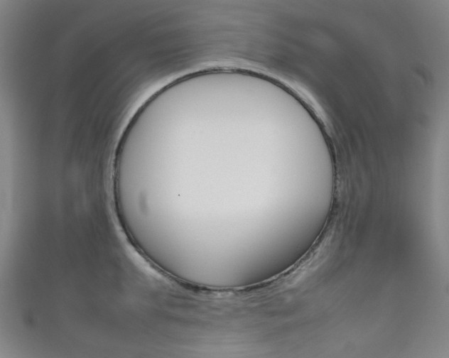 X0000111860903200907231128