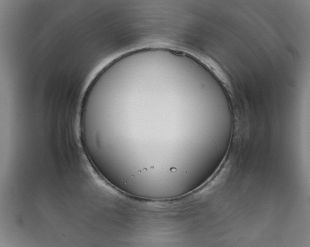 X0000111860904200907231128