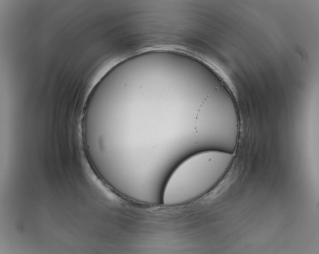 X0000111860906200907231128