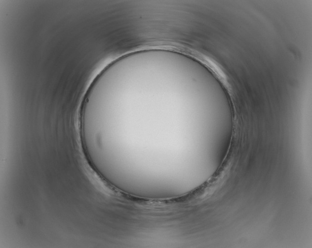 X0000111860907200907231128