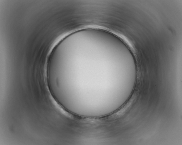 X0000111860910200907231128