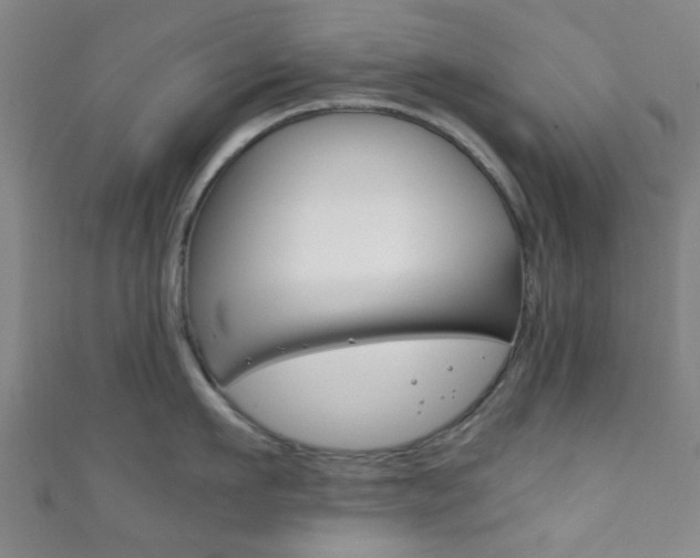 X0000111860911200907231128