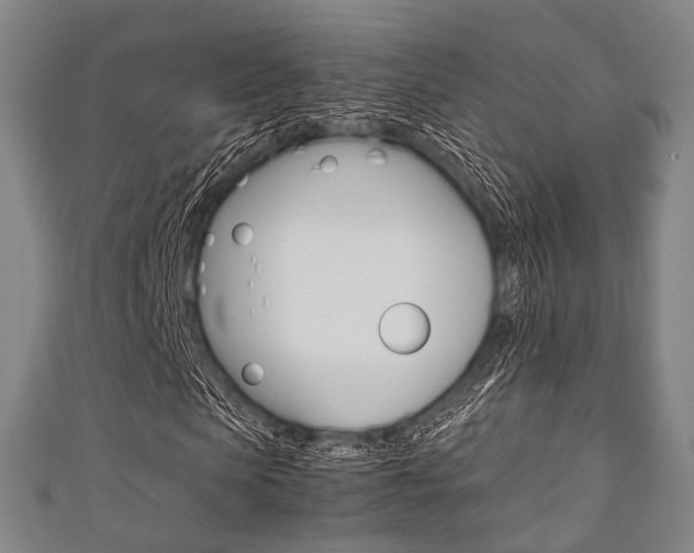 X0000111860913200907231127
