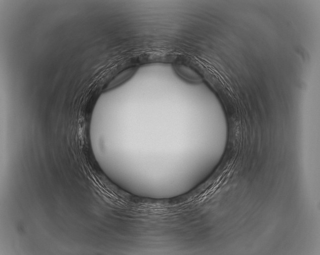 X0000111860914200907231127