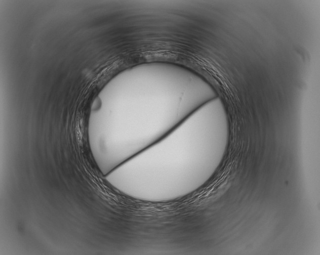 X0000111860915200907231127
