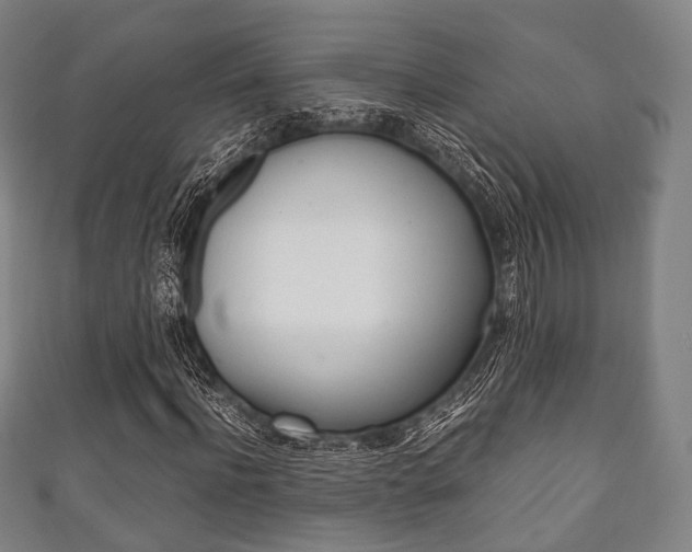 X0000111860916200907231127