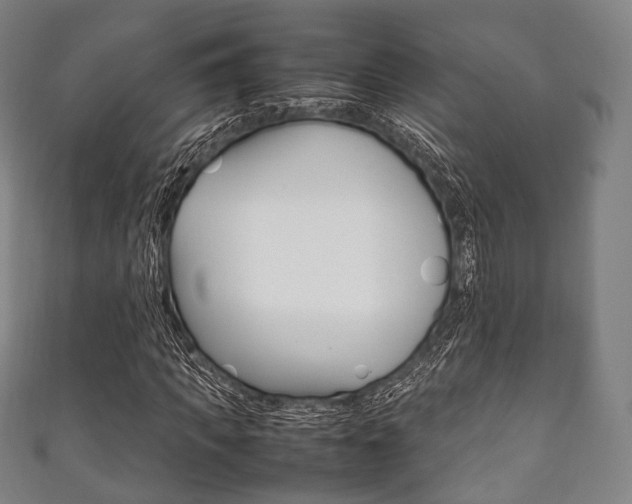 X0000111860917200907231127