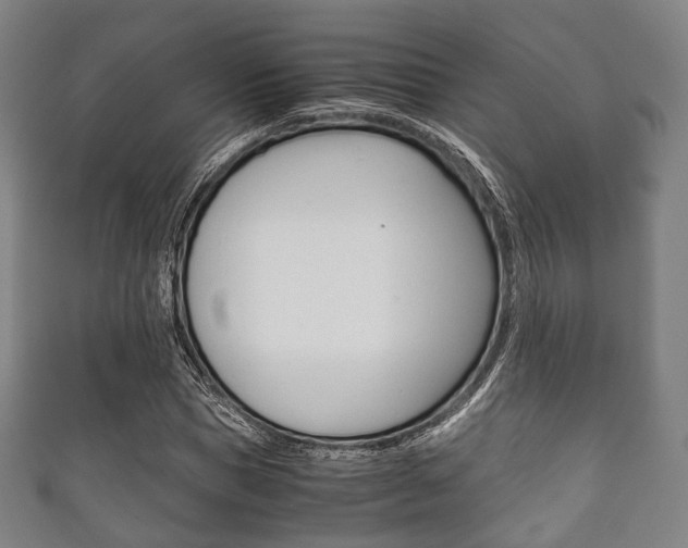 X0000111860921200907231127