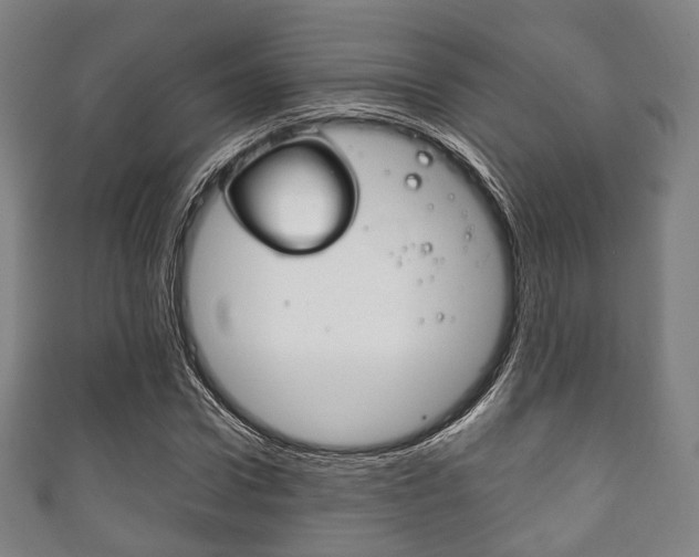 X0000111860922200907231127