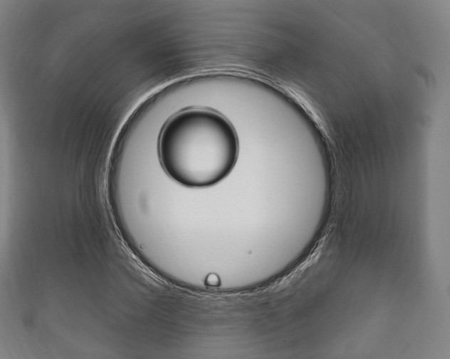 X0000111860924200907231127