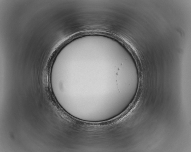 X0000111860925200907231127