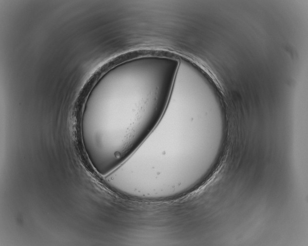 X0000111860926200907231127