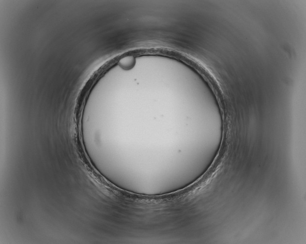 X0000111860927200907231127