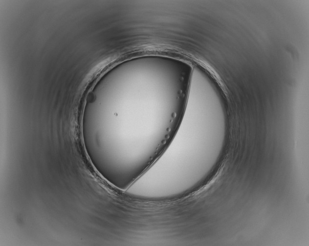 X0000111860930200907231127