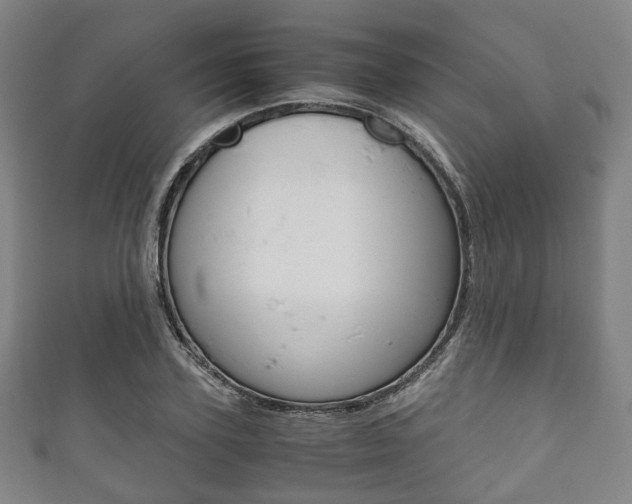 X0000111860931200907231127