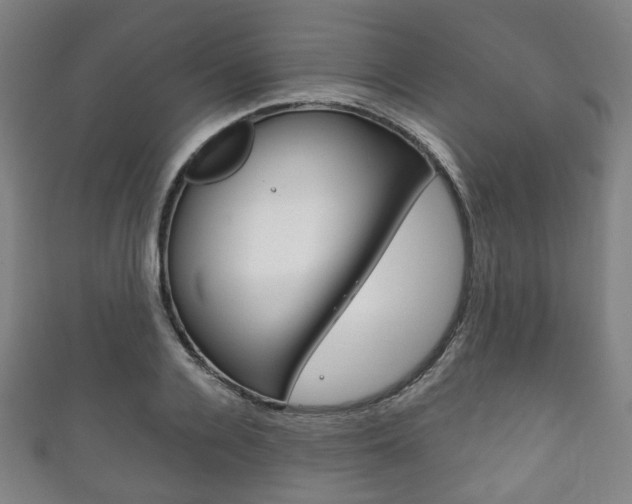 X0000111860936200907231127