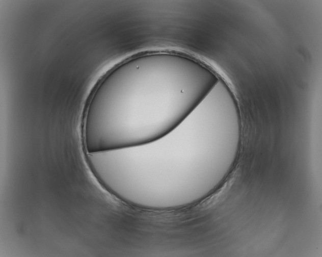X0000111860943200907231127