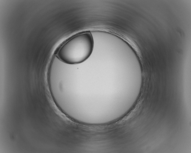 X0000111860944200907231127