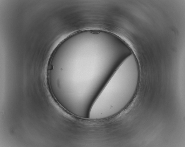 X0000111860949200907231128