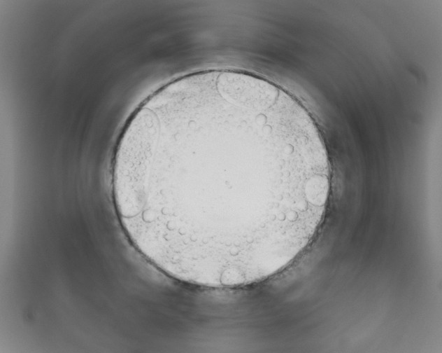 X0000111860950200907231128