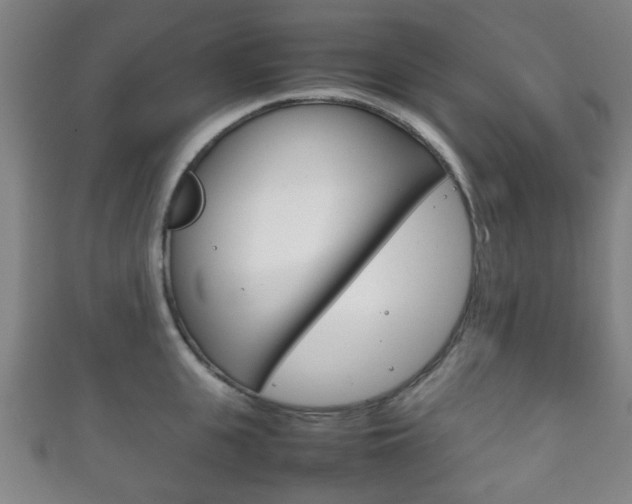 X0000111860951200907231128