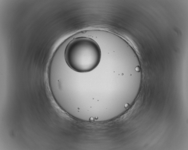 X0000111860952200907231128