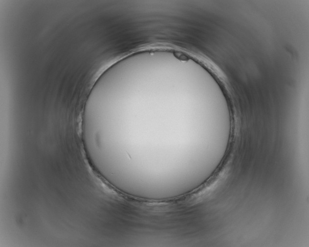 X0000111860953200907231128