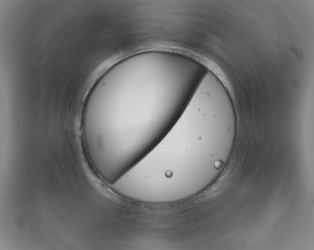 X0000111860954200907231128