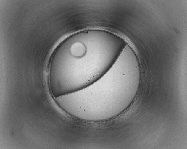 X0000111860955200907231128