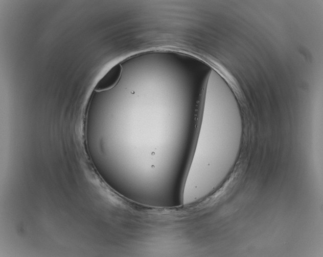 X0000111860956200907231128