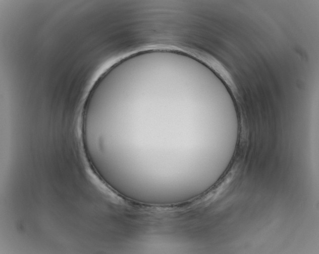 X0000111860958200907231128