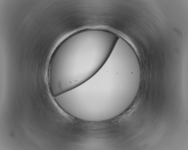 X0000111860959200907231128