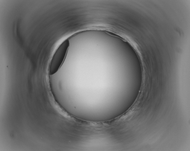 X0000111860960200907231128