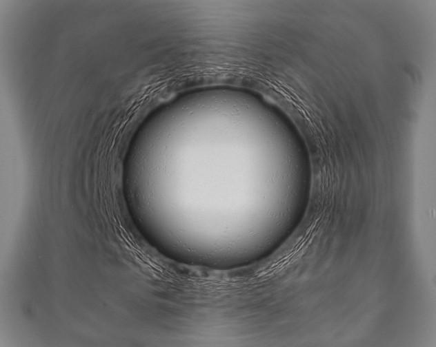 X0000111860961200907231127