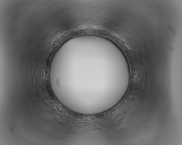 X0000111860966200907231127