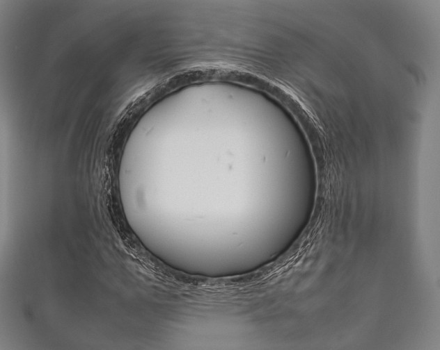 X0000111860967200907231127