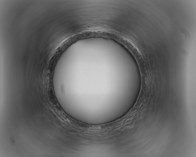 X0000111860968200907231127