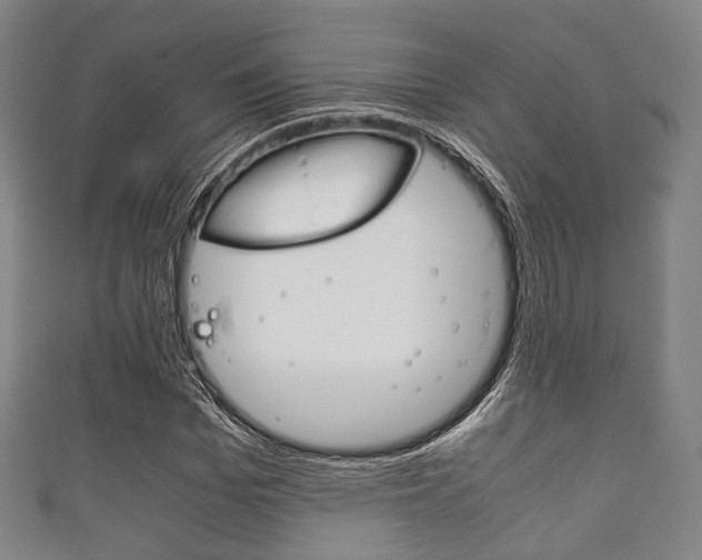 X0000111860969200907231127