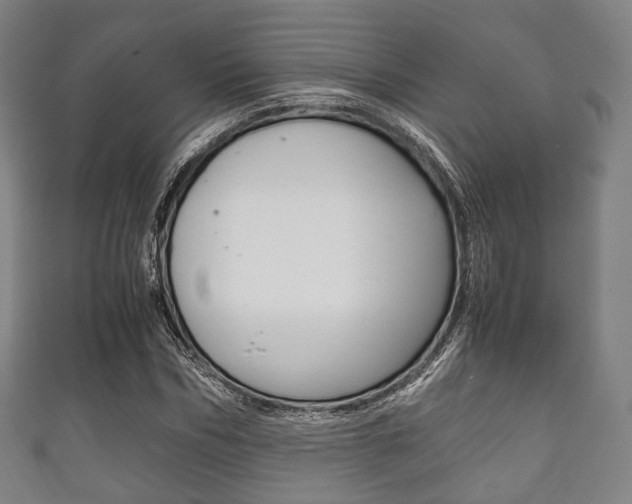 X0000111860970200907231127