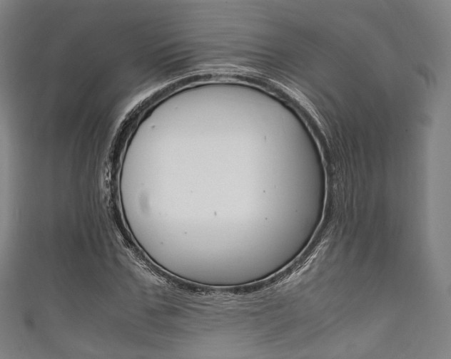 X0000111860971200907231127