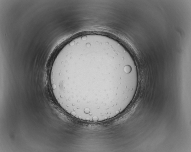 X0000111860974200907231127